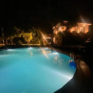 https://amaltas.udaipurhotels.org