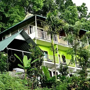 https://nature-dale.hotels-munnar.com