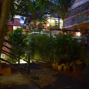 https://shamrock-holiday-home.hotels-munnar.com