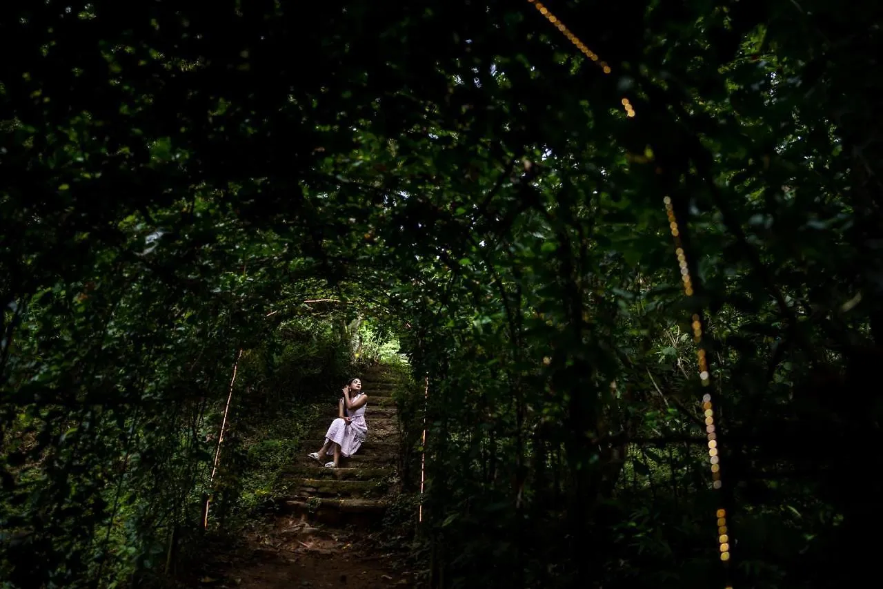 Raindrops Resorts Wayanad 苏丹巴特利 印度