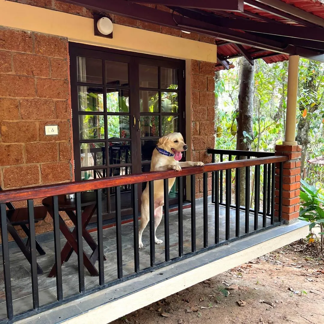 Raindrops Resorts Wayanad Sultan Bathery