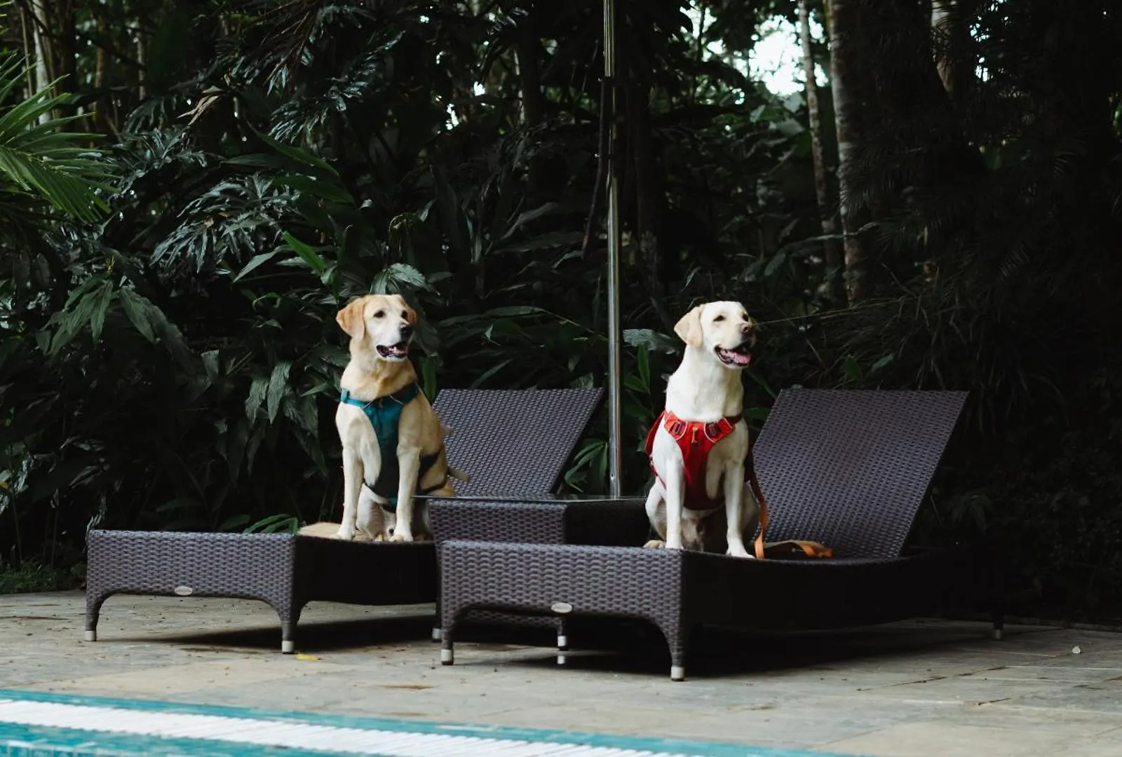 Raindrops Resorts Wayanad Sultan Bathery