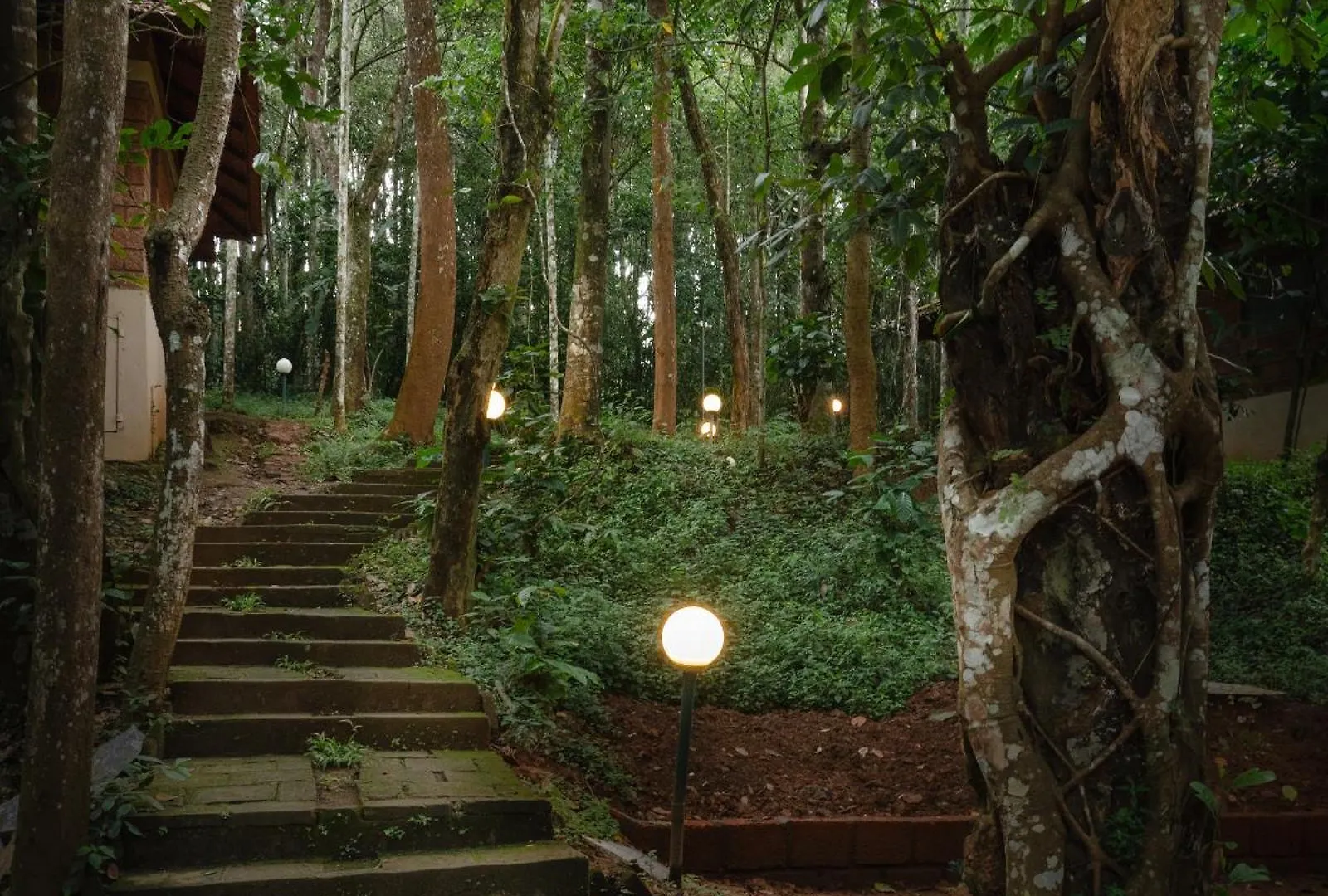Raindrops Resorts Wayanad Sultan Bathery