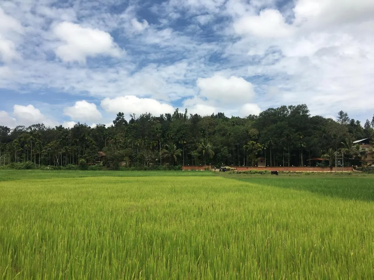 Raindrops Resorts Wayanad Sultan Bathery 0*,